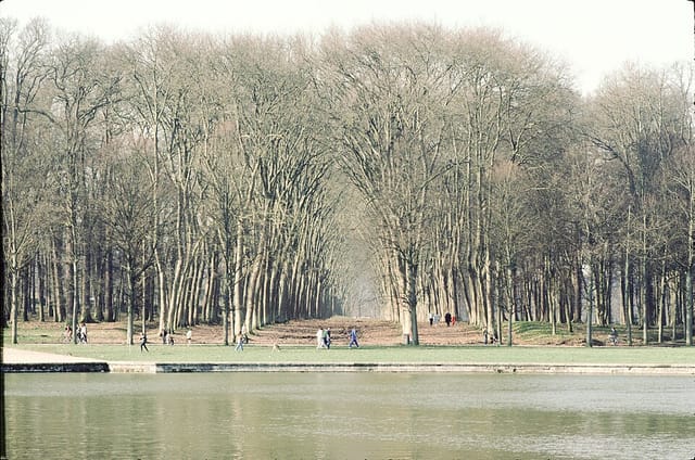 The Grand Canal